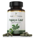 Florida Herbal Pharmacy, Papaya Leaf Extract Capsules 10:1 (120 Capsules) 500 mg per Capsule, 1000 mg Serving (Pack of 1)