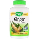 Way Ginger Root 550 mg, kapsułki 180ea