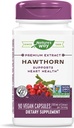 Hawthorn Standaryzowany ekstrakt - 90 - kapsułki