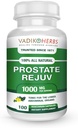 Certified Organic Vadik Herbs Prostate Rejuv Herbal Dietary Supplement Equipment 124; Promotes Healthy Prostate Health and Reduces related symptom, Supports Normal Prostate Function (1 Pack)