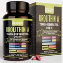 Urolithin A Supplement for Urban Working Women: Anti-Aging Capsules with Trans-Resveratrol and CoQ10 - USA Lab Verified Support Healthy Aging and Cellular Renewal（9in1）