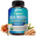 NutriFlair Organic Sea Moss 1600mg, 120 Capsules Plus Bladderwrack & Burdock - Prebiotic Super Food - Immune System & Digestive Health - Thyroid, Healthy Skin, Keto Detox, Gut
