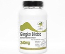 Ginkgo Biloba Standaryzowany ekstrakt 240mg 24% Glikozydy ~ 200 Kapsułki - Brak dodatków ~ Suplementy do natretyfikacji