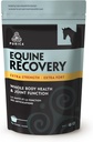 PURICA Equine Hyaluronic Acid - Horse Joint Support Supplement with Glucosamine, MSM Powder, Betaine, Magnesium, Vitamin C and E - Green Tea and Grape Seed Extract - Horse Supplies and Treats