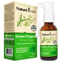 NaturaNectar - Green Propolis Throat Spray - Unikalna, Kojąca ulga w leczeniu gardła z brazylijskiej Bee Propolis - Naturalna i niealkoholowa formuła do leczenia gardła z zrównoważonej pszczelarstwa (1- Pack, 30 ml)
