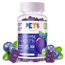 Zwierzęta domowe Najczystsza Glukozamina Gummies Chondroitin z musm & Elderberry Extra Siła - Wspólne wsparcie, Antyoksydant suplement immunologiczny dla dorosłych, Mężczyźni & Kobiety.60 Gummies jagodowe