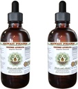 Angelica Chinese Alcohol Free Liquid Extract, Organic Angelica (Angelica Sinensis) Dried Root Glycerite Hawaii Pharm Natural Herbal Supplement 2x2 oz