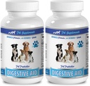 dog food additive for bad breath - DOG DIGESTIVE AID PROBIOTICS - NATURAL APPROACH - SOLUTION TO BAD BREATH AND GAS - COUNTER DIARRHEA - dog probiotics allergies - 2 Bottles (120 Treats)