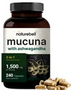 Mucuna Pruziens Kapsułki, Potrójne Siła 1500mg na Podawanie, 2 w 1 Formuła, Made with Mucuna i Ashwagandha, 240 Kapsułki, Potent Seed Extract, Pozytywny nastrój, Relaxation & Restoration Support