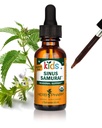Herb Pharm Dzieci Certified- Bezalkoholowe Sinus Samurai ciecz Herbal Formuła, Organic, 1 Fl Oz