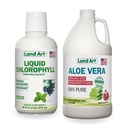 Land Art Aloe Vera Juice - Pomegranat Flavored - Cold Processed - Inner Filet from Organic Fresh Leaves - 64floz + Liquid Chlorophyll Mint Flavored - Cold Extended from Wild Non-GMO Alfalfa - 16floz