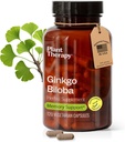 Terapia roślinna Ginkgo Biloba Kapsułki produkowane w USA 4 Miesiące Supply Wspomaga Pamięć Funkcje kognitywne, Zdrowy cyrkulacja i Antyoksydant- Bogate suplementy dla kobiet i mężczyzn 120 Kapsułki wegetariańskie
