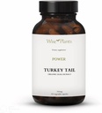 Indyk Tail Mushroom Supplement. Dual Extract, Pure Fruiting Body, 30% Polisacharydy, 500 mg, 120 wegecaps (60- Day Supply). Może wspierać zdrowe funkcje immunologiczne