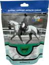 Funky Unicorn Gastic Chews - smak MINT