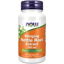 TERAZ Foods Supplements, Stinging Nettle Root Extract (Urtica dioica) 250 mg, Pomaga Prostate Health *, 90 Kapsułki Veg