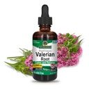 Odpowiedź natury Valerian Root 124; Promuje Resteful Sleep 124; Calms & Relaxes 124; Super koncentrat 1000mg 124; Gluten- Free, Alcohol- Free, Kosher Certified & Vegan 2oz (Opakowanie 2)