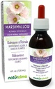 Naturalma Marshmallow (Althaea officinalis) Root Alcohol Free Tincture - 4 fl oz Liquid Extract in Drops - Herbal Supplement - Vegan