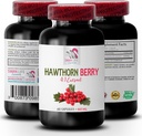 suplement z jagód - HAWTIN BERRIES EXTRACT - suplement przeciwutleniający dla kobiet, przeciwutleniacze jagody, przeciwutleniacz mieszanka z jagodami, przeciwutleniacz z jagodami hawthorn, energia z dzikiej jagody hawthorn energia 1Bot 60Caps
