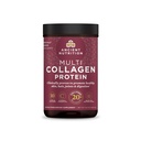 Ancient Nutrition Zhydrolizowane Kolagen Peptydy Proszek, Unflavored Multi Kolagen Proszek Pakiety dla kobiet i mężczyzn z witaminą C, 24 Służenia, Wspiera Skóra i paznokci, Gut Zdrowie