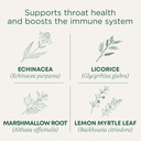 Tradycyjne leki Lozenges, Organic Throat Coat Lemon Ginger Echinacea, Sore Throat Support, 16 Count (Pack of 2)