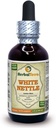 Herbal Terra LLC White Nettle (Lanium Album) Tincture, Suszony Liść Liść Liquid Extract 2 oz