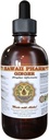 Hawaii Pharm Ginger Liquid Extract, Organic Ginger (Zingiber officinale)