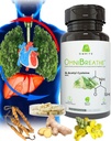 OMNIBREATHE - Szybka poprawa problemów oddychania przez NAC 600MG Naukowo sformułowane w. Quercetin / Mullein / Coq 10 / Ginger / Stinging Nettle / Bromelain, 3 razy w. Mączka (10- Day Supply to Boost)