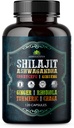 Shilajit dla mężczyzn - 8- in-1 Adaptogenic Supplement with Ashwagandha, Cordyceps, Ginseng, Rhodiola, Turmeric, Chaga & Ginger - Natural Energy, Stress Relief & Immune Support - 120 Vegan kapsułki