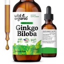 Wild & Organic Ginkgo Biloba Tincture - Wsparcie dla mózgu i focus z dodatkiem Ginkgo Leaf Supplement - Vegan, Sugar & Alcohol- Free Herbal Extract Tincture - 2 fl oz