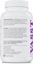 BELDT Labs VASST Acirc Oxide Booster, N.O. Supplement with Over 3.000 mg of Arginine- AKG, OKG, GKG, and L- Arginine HCL for Muscle Building and Enhanced Vascularity - 90 Tablets