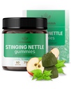 HERBAMAMA Stinging Nettle Gummies - 7500mg Stinging Nettle Root Extract for Urynary Tract Support for Women & Men - Vegan, Non-GMO Urtica Dioica Supplement - 60 Pectin- Based Apple- Flavored Chews