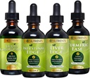 Go Nutrigents Trawienie & Detox Bundle - Chlorofil płynny, Wątroba Krawędź, Wątroba Krawędź, Turmeric Ease - Pomaga w czyszczeniu, Trawienie, Zdrowie wątroby, i Obrona ciała, Revitalize skóry i witalności