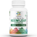 Kapsułki Organic Aura Neem. W 100% czysty i potężny. Surowy zielony cały Superfood. Wykonane z całego spektrum Neem Leaves. Cudowny agent detoksykujący.