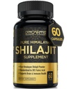 Atlantis Nutrition Himalayan Shilajit kapsułki złożone z 20% kwasu fulvic 124; 10: 1 Ekstrakt dostarczający 10,000 mg D.H.E. D.H.E. 124; USA Made Bird 124; Himalayan Shilajit Suplement dla mężczyzn i kobiet 124; 60 Kapsułki