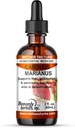 Heaven Herbals, Inc. Carduus Marianus Q - Homeopatic Tincture - Wspiera wątrobę, pęcherzyk żółciowy i funkcji trzustki. Pomaga w detoksykacji. 2.0 Fl Oz - Produkowane i wysyłane z USA >