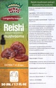 Reishi Mushroom Supplement/Our Reishi Mushroom Extract Promotes Longevity/Reishi Mushroom Tincture - 50ml / 1.7 Fl Oz