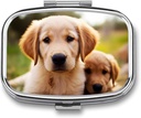 Pudełko 2 Cometude Square Pill Organizator Codzienne małe pióro Case for Travel Cute Golden Retriever Puppy Metal Pill Container Portable Medicine Organizer for Pill Vitamin Fish Supplement