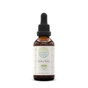 Gotu Kola B60 Tincture Alcohol- Free Herbal Extract, Concentrated Liquid Drops Natural Gotu Kola (Centella Asiatica) 2 fl oz