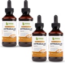 Maxx Herb Astragalus Root Extract - Max Siła Płynna nalewka Absorbuje lepiej niż kapsułki lub proszek, dla immunologicznego wsparcia i psychicznej klarowności - 4 butelki, 4 Oz Każdy (240 Słupki)