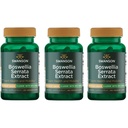 Swanson Boswellia Serrata Extract 125 mg 60 Veg Caps (3 opakowania)