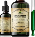 Chlorophyll Liquid Drops – Organic Natural Detox & Cleanse Support – Boost Energy, Immunity & Metabolism – Vegan, Non-GMO, Mint Flavor, 2 fl oz – Sodium Copper Chlorophyllin Extract – Made in USA