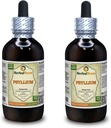 Psyllium (Plantago Ovata) Tincture, Organic Dried Seed Liquid Extract (Nazwa marki: HerbalTerra, Proudly Made in USA) 2x4 fl.oz (2x120 ml)