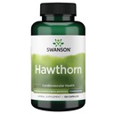 Ekstrakt Swanson Hawthorn (standardowy) 250 Miligramów 120 Kapsułek