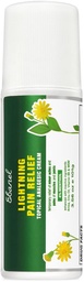Ebanel Relief Pain Relief Roll On for artretis, Foot, Back, Joint, Neck, Strains & sprains with Menthol, Camphor, Arnica, Emu Oil, MSM, Boswellia, Targeted Muscle Pain Relief Roll On