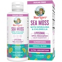 MaryRuth Organics Sea Moss z Spirulina i Chlorella Liposomal 124; Chlorophyll Bis124; Dandelion Root 124; Superfood Bis124; Ultra Absorpcja 124; Vegan Bis124; Non-GMO 124; Gluten Free 124; 7.6 fl oz 124; 15 Służenie