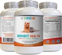 Dog Urinary Tract Support - Dog Urinary Health Formula - Helps with Incontinence and Bladder Issues - Immune Boost - Corn Silk Pills for Dogs - 1 Bottle (90 Treats)