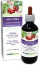 Naturalma Hawthorn (Crataegus oxyacantha) Liść i kwiat Alkohol wolny Tincture - 6.76 fl Oz Liquid Extract in Drops - Herbal Supplement - Vegan