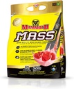 Masaż MAMMOTH: Waga Gainer, Wysokie Calorie Protein Powder Workout Smoothie Shake, Wymiana posiłków, niski cukier, Koncentrat izolatu serwatki, Mieszanka białka kazeiny, Wysokie Białko (Truskawka, 5lb)