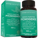 Viva Naturals Pycnogenol - 100mg French Maritime Pine Bark Extract - Wspiera krążenie, aktywność przeciwutleniająca, łączenia i immunologiczne Zdrowie i Funkcje - 60 Kapsułki wegetariańskie