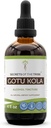 Tajemnice Tribe Gotu Kola Tincture Alcohol Liquid Extract, Gotu Kola (Centella Asiatica) Suszony Herb (4 FL OZ)